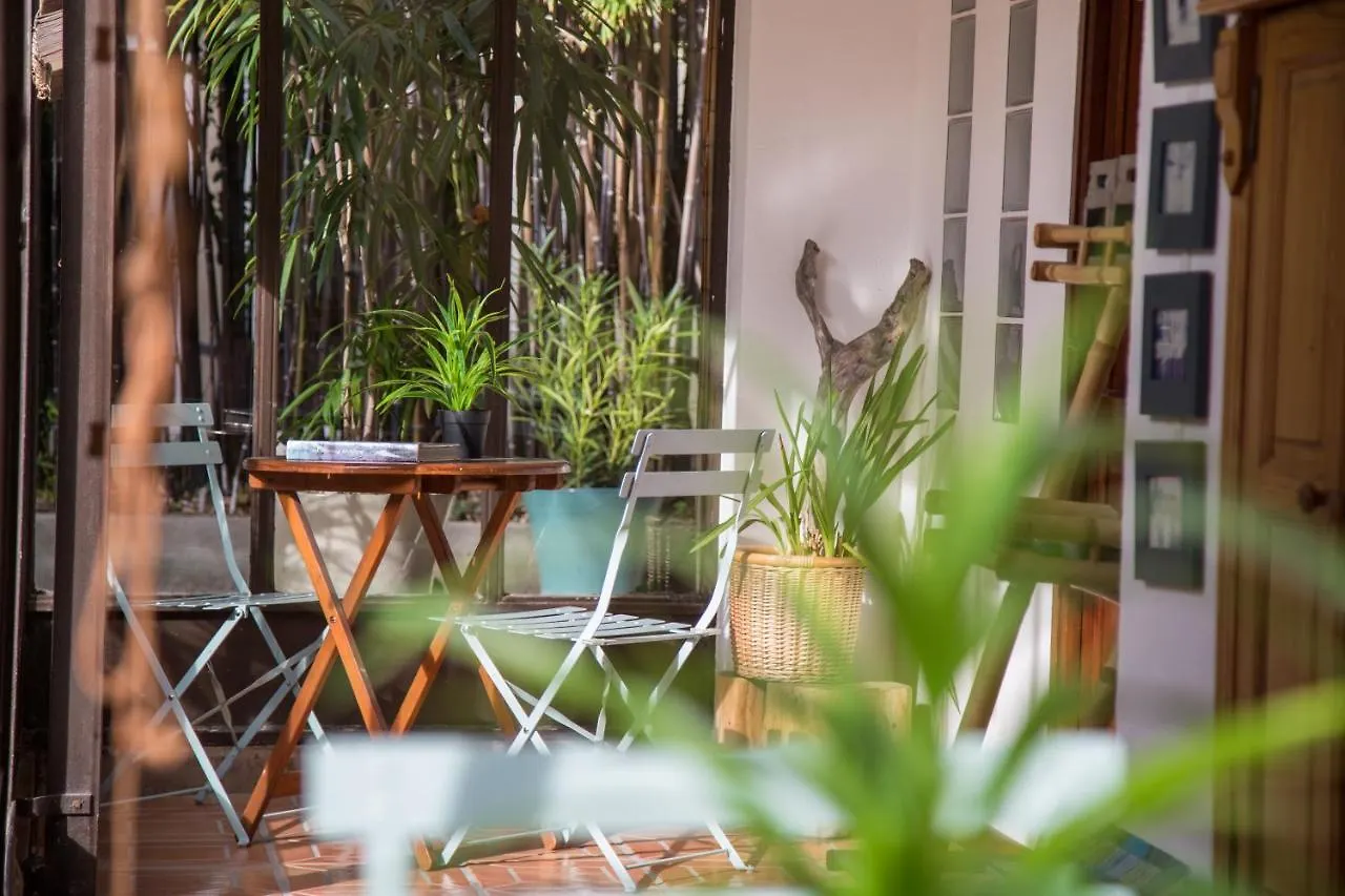 Maison D'Hotes L'Ilot Bambou Avignon Guest house