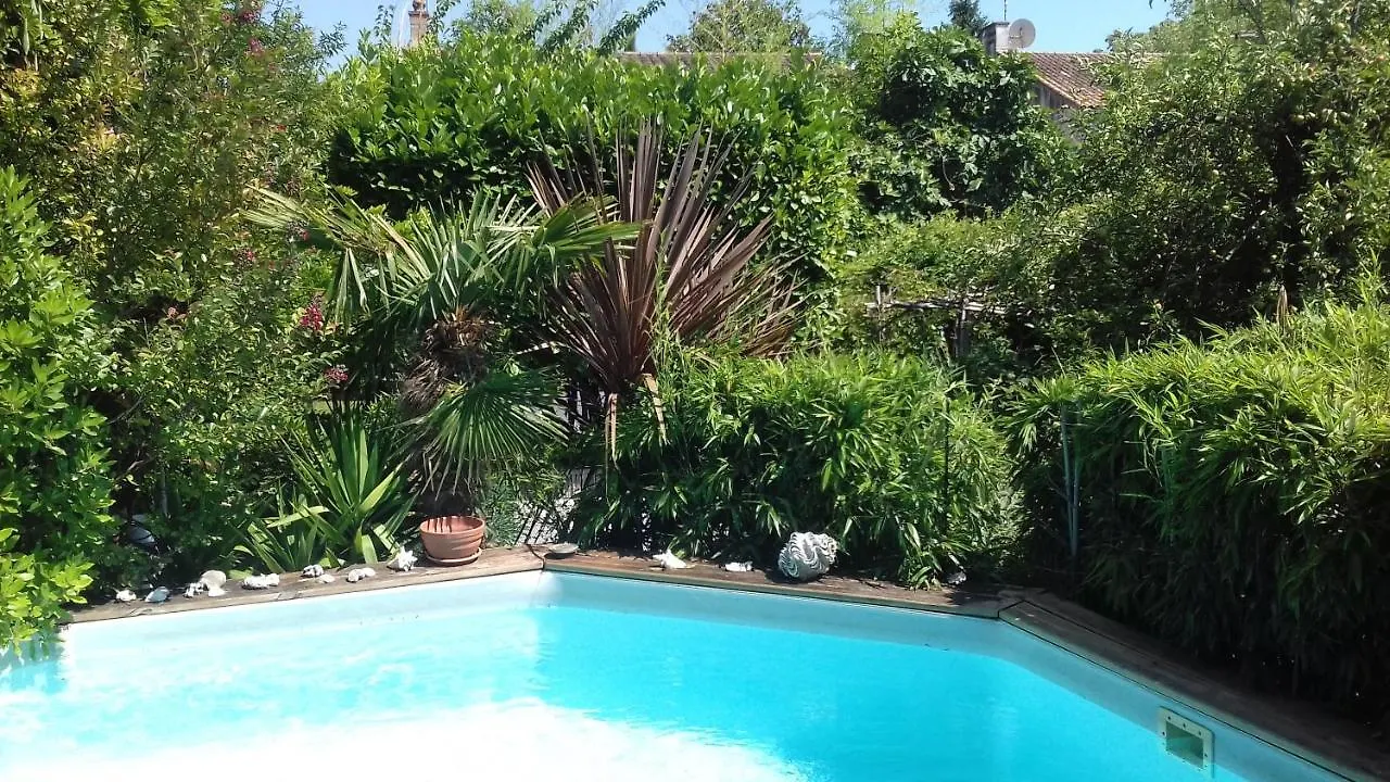 Maison D'Hotes L'Ilot Bambou Avignon Guest house